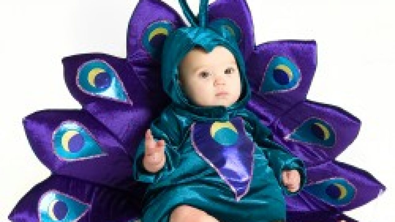 infant peacock costume